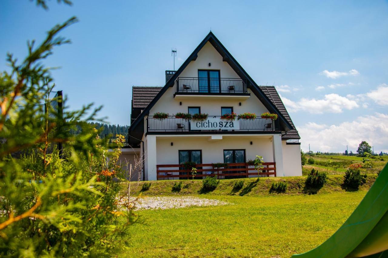 Villa Cicho Sza Czarna Góra エクステリア 写真